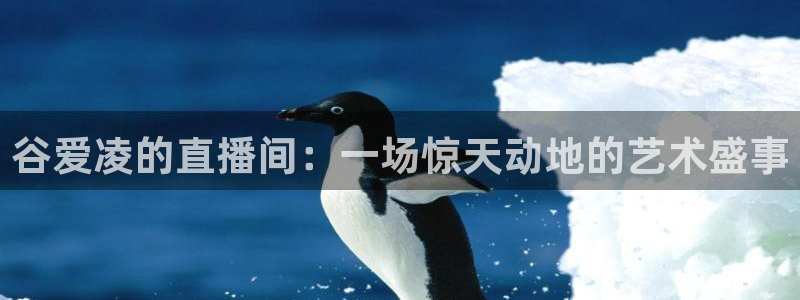 857篮球直播体育