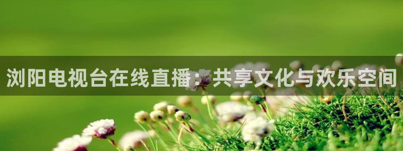 857直播体育n